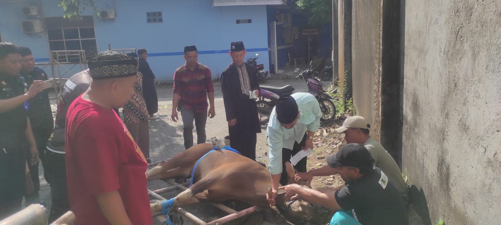 Unismuh Makassar Sembelih 38 Hewan Kurban pada Iduladha 1447 H, Rektor Ajak Jadikan Momentum Muhasabah