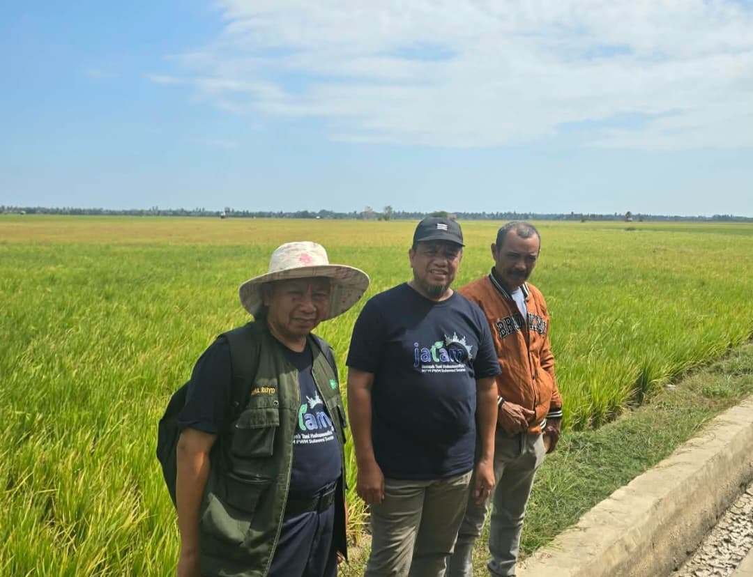 PWM Sulsel dan Jaringan Tani Muhammadiyah meninjau sawah terdampak kekeringan di Pinrang