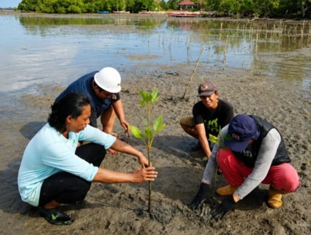 Peserta menanam bibit mangrove di kawasan Pantai 1 Kota Palopo, foto Khittah.co.