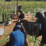 Mengembangkan Pendidikan Islam untuk Mewujudkan Masyarakat Sejahtera