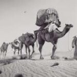 Ketua LPPK PWM Sulsel Jadi Narasumber Bimtek Tata Kelola Keuangan di Universitas Muhammadiyah Bone