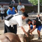 PRM Solokuro Sembelih 124 Kambing dan 4 Sapi di Hari Raya Iduladha 1446 H