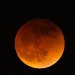 Madrasah Aktivis Profetik IMM Malang Raya: Meneguhkan Arah Gerakan Advokasi dan Pemberdayaan