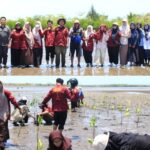Program Sayangi Lansia, Lazismu Makassar Bagi Sembako dan Pemeriksaan Kesehatan Gratis